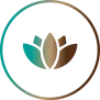 Ecolandy – floristería y arte botánico hecho a mano en Torrent