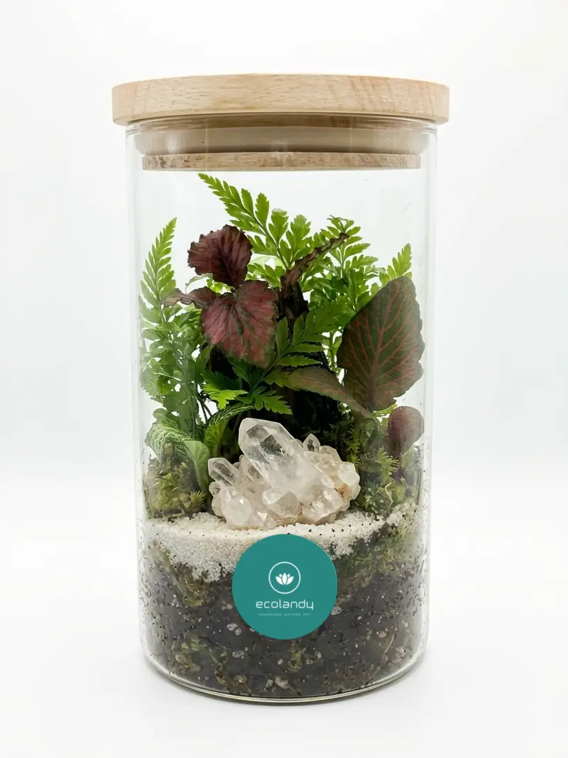 Terrario en bote de cristal con tapa de madera, helecho, fitonias y cuarzo blanco natural