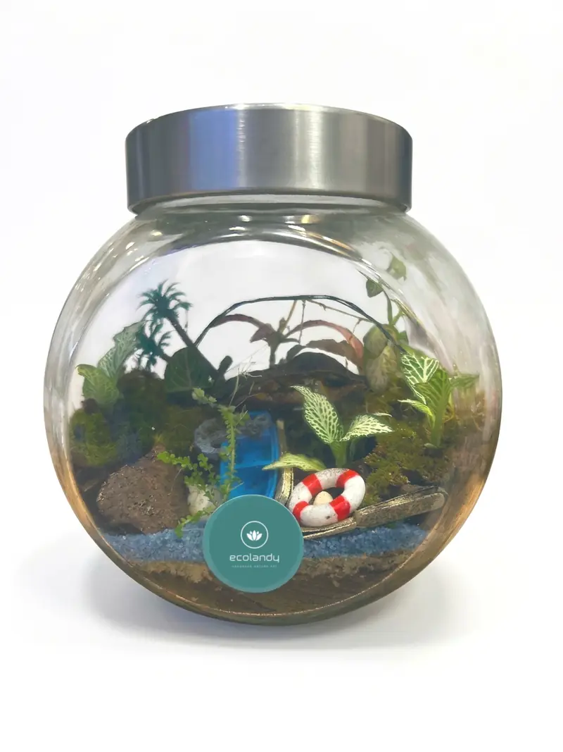 Terrario en bote redondo de cristal con escena de playa en miniatura y plantas vivas